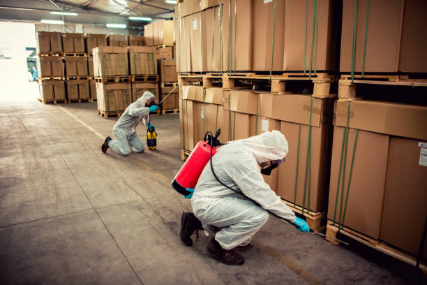 Best Pest Prevention Services  in Dulles Town Center, VA