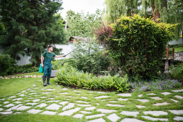 Best Pest Control Near Me  in Dulles Town Center, VA