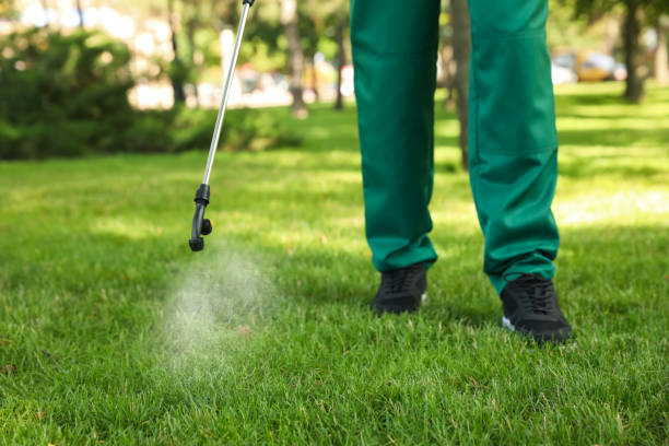 Pest Control for Restaurants in Dulles Town Center, VA