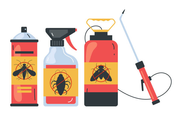 Reliable Dulles Town Center, VA Pest Control Solutions