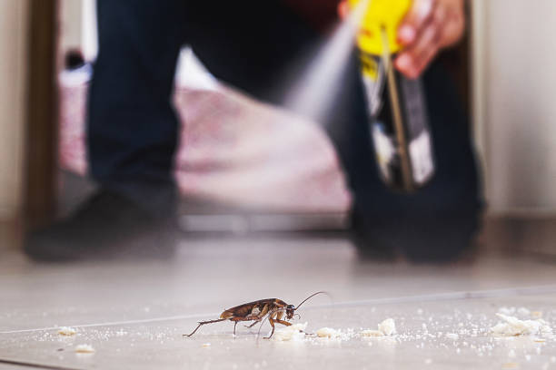 Best Affordable Pest Control Services  in Dulles Town Center, VA